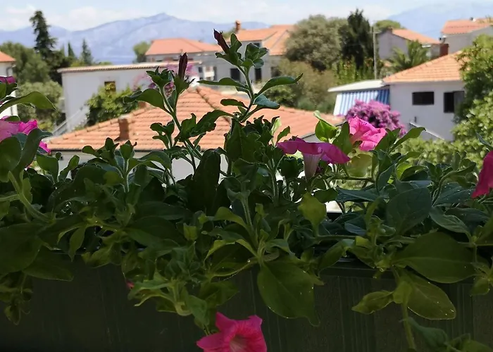 아파트 Natasa 수페타르