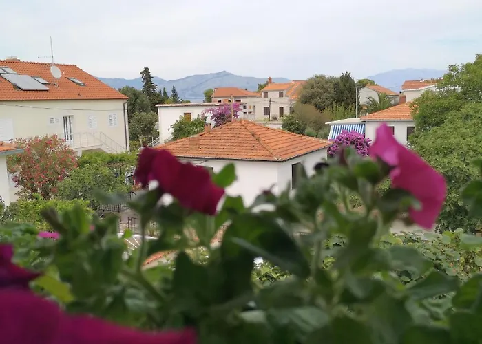 Natasa شقة